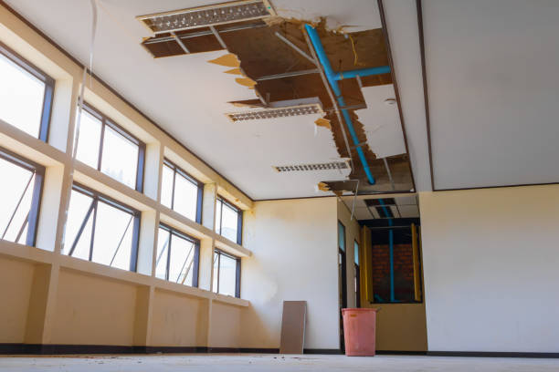 Best Flood damage cleanup  in Laconia, NH
