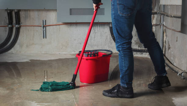 Best Ceiling water damage repair  in Laconia, NH