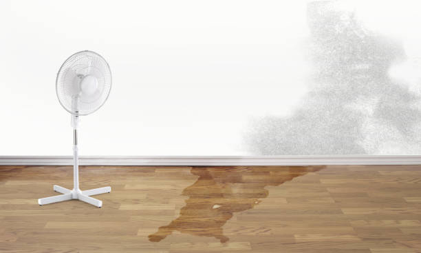 Best Professional water damage repair  in Laconia, NH