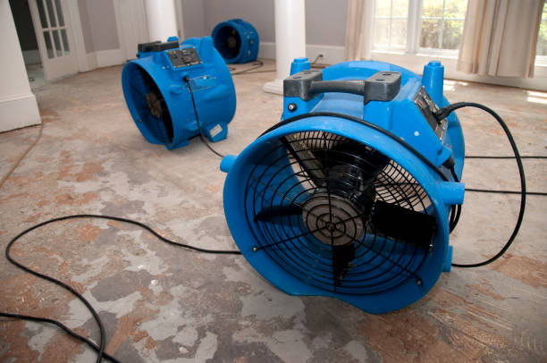 Best Mold removal after water damage  in Laconia, NH