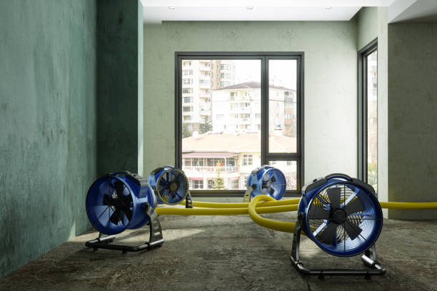 Best Water damage mitigation services  in Laconia, NH