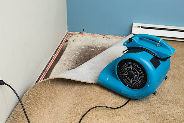 Best Water damage restoration experts  in Laconia, NH